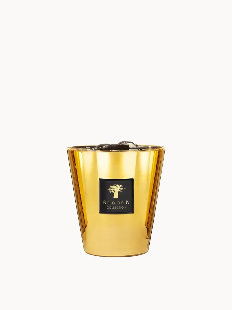 Baobab Collection Max 16 Aurum