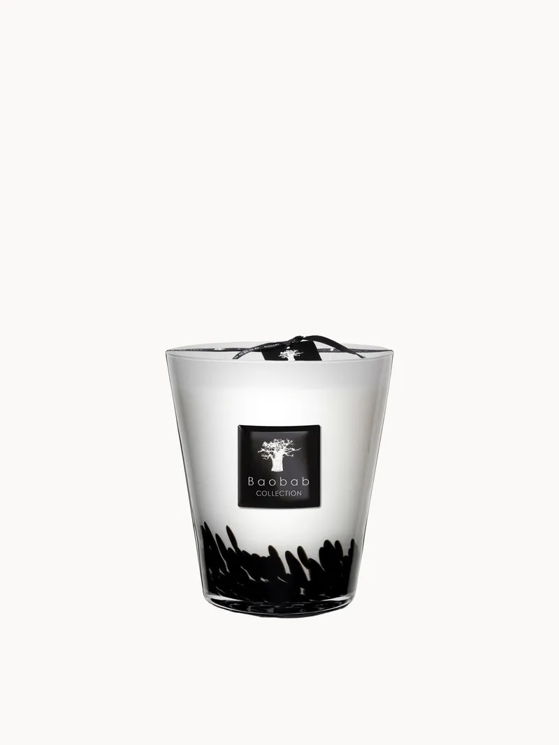 Baobab Collection Max 16 Feathers